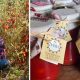 Découverte de tomates naturelles et mûres Dama, à Rennes