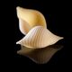 Les pâtes artisanales di Gragnano conchiglioni à l'épicerie italienne Les Bonnes Pâtes