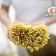 Les pâtes artisanales Rustichella d'Abruzzo sont à retrouver dans l'épicerie fine italienne ou en ligne chez "Les Bonnes Pâtes"