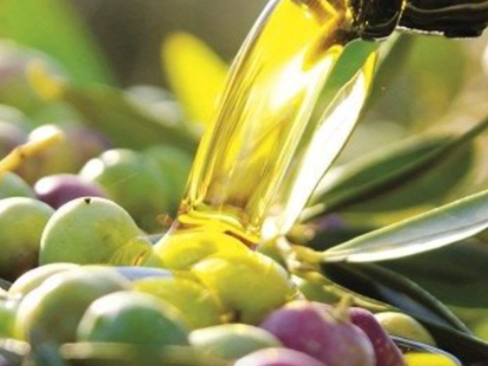 huile d'olive extra veirge des Pouilles
