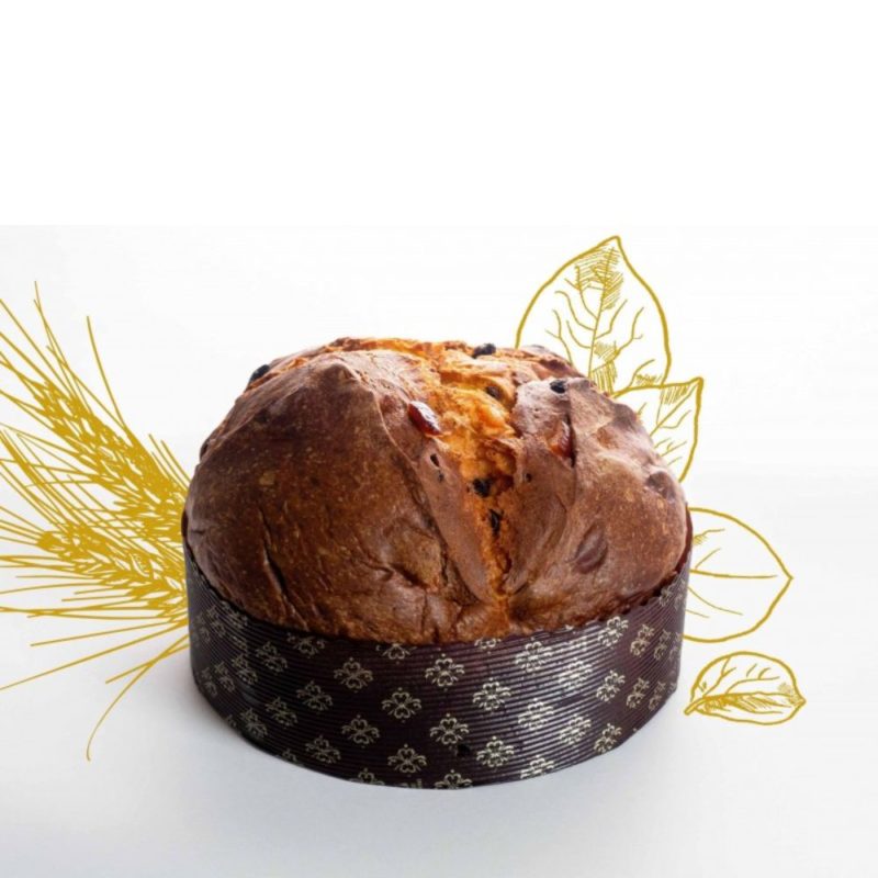 La boutique Les Bonnes Pâtes de Rennes vous propose cette année en exclusivité les fameux Panettone Amari aux pépites de chocolat noir, au citron et glaçage chocolat blanc et à la pistache.